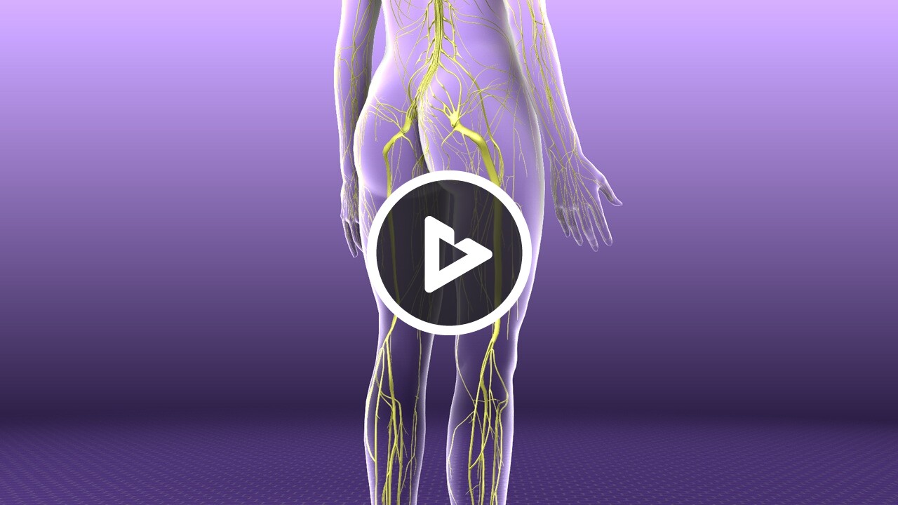 Peripheral Neuropathy